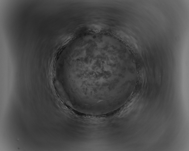 X0000088231105200705151447