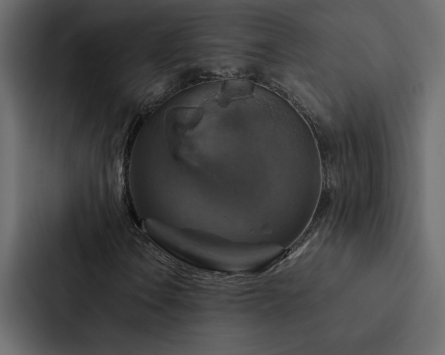 X0000088231106200705151447