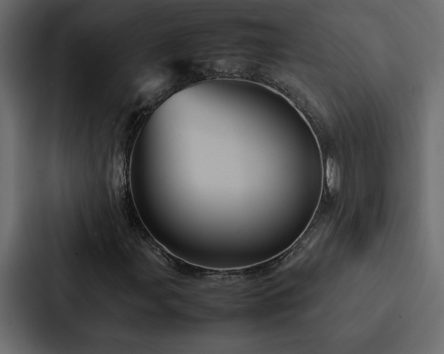 X0000088231107200705151447