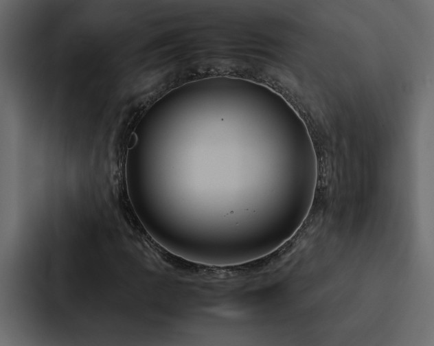 X0000088231109200705151447