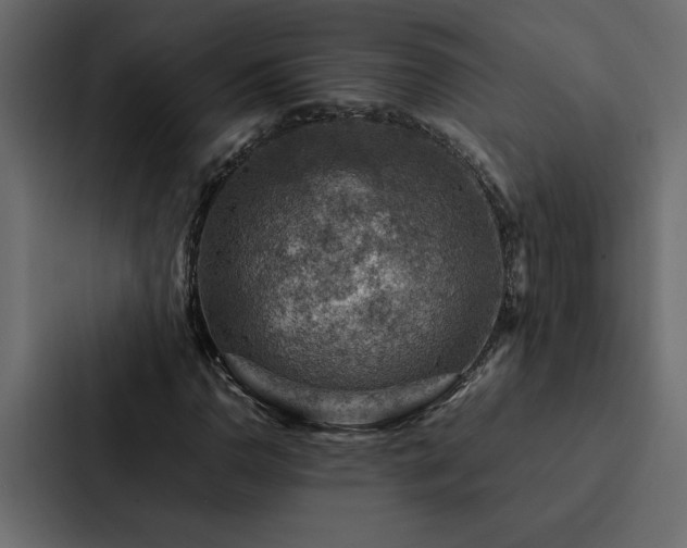X0000088231110200705151447