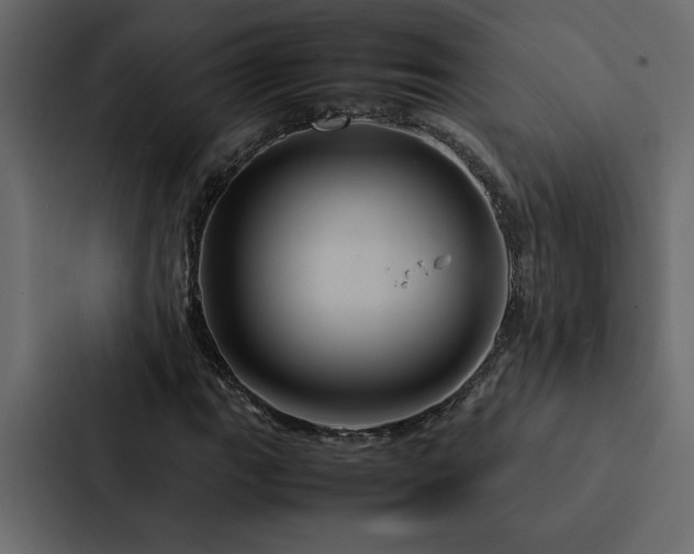 X0000088231111200705151447