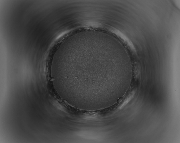 X0000088231112200705151447
