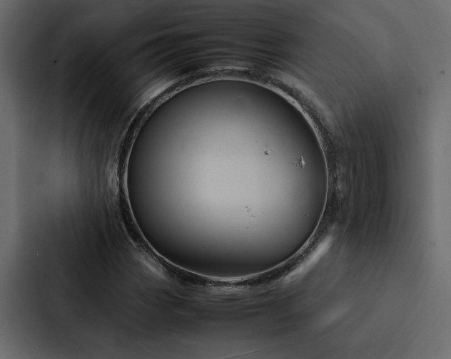 X0000088231113200705151447