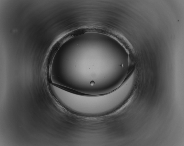 X0000088231114200705151447