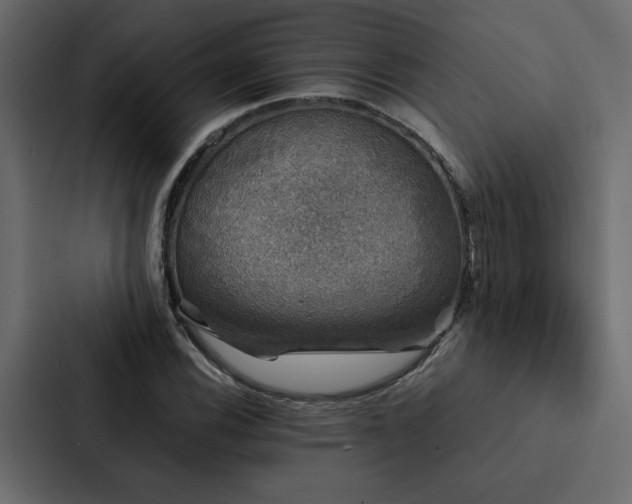 X0000088231116200705151447