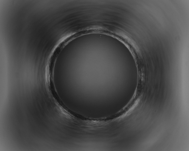 X0000088231117200705151447