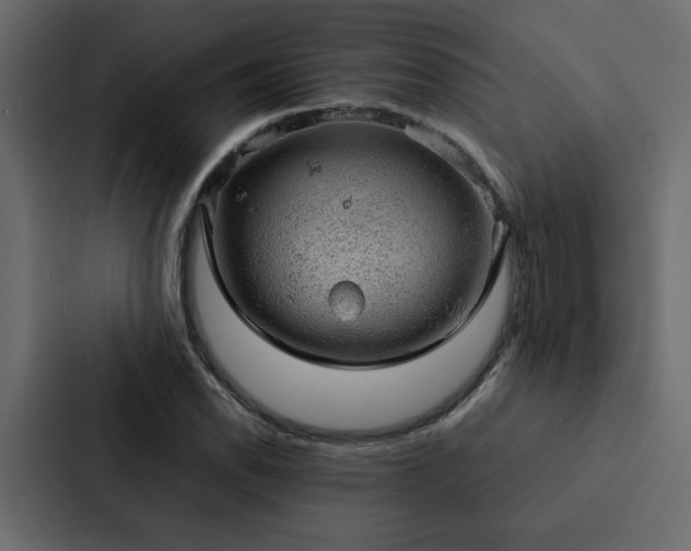 X0000088231118200705151447