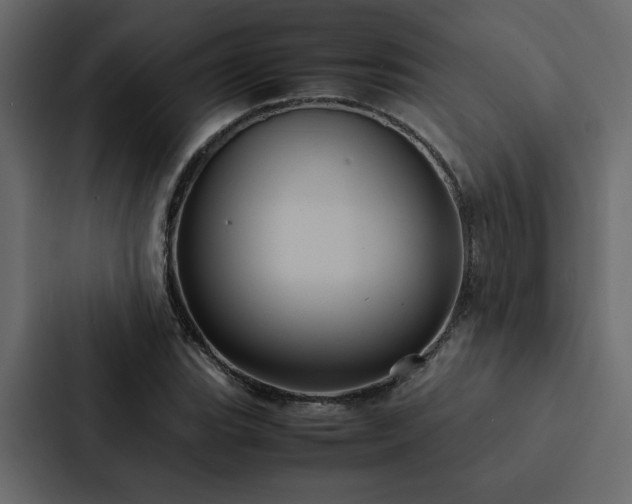 X0000088231119200705151447