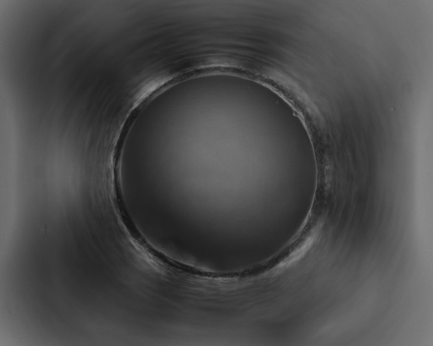 X0000088231121200705151447