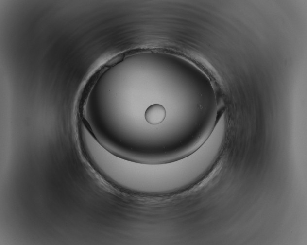 X0000088231122200705151447