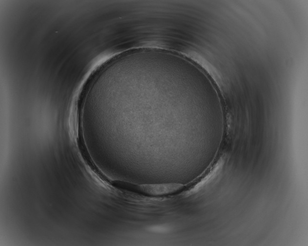 X0000088231123200705151447