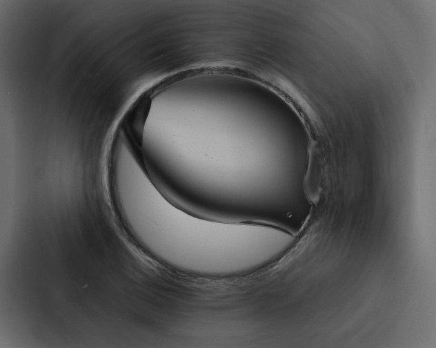 X0000088231124200705151447