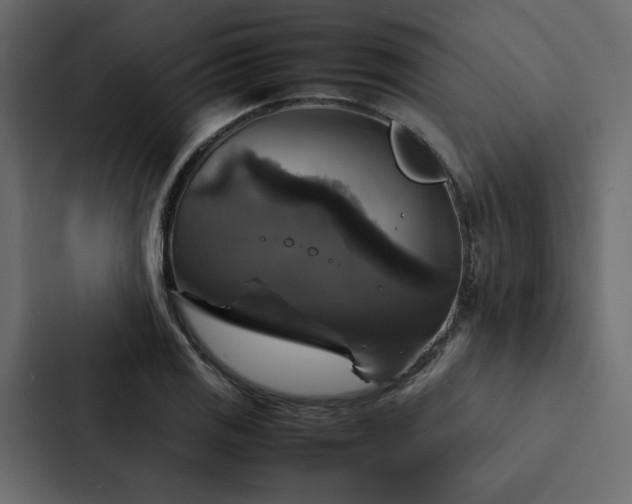 X0000088231125200705151447