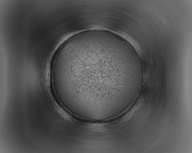 X0000088231126200705151447