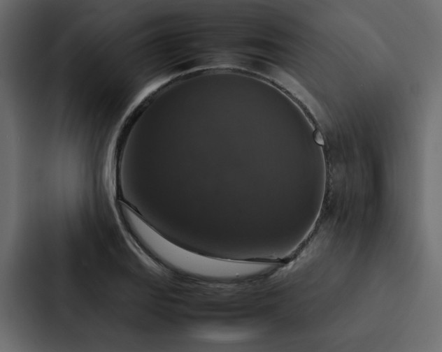 X0000088231127200705151447