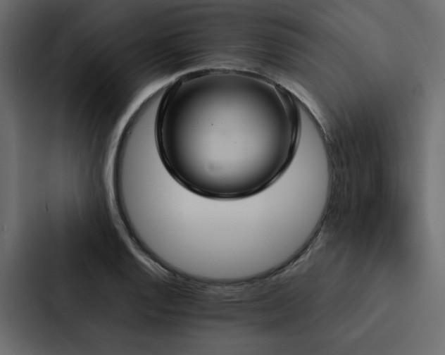 X0000088231128200705151447
