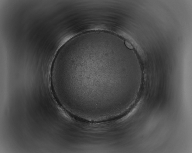 X0000088231129200705151447