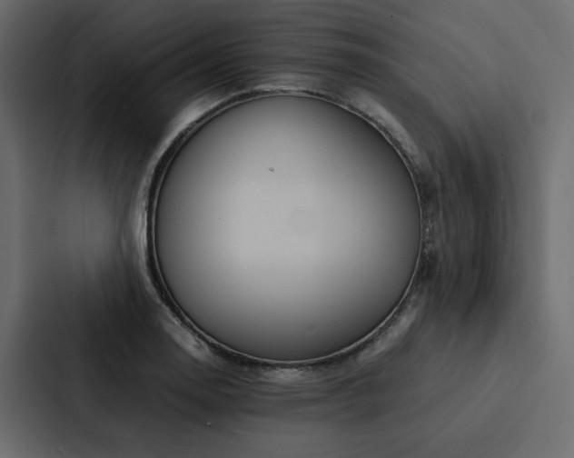 X0000088231130200705151447