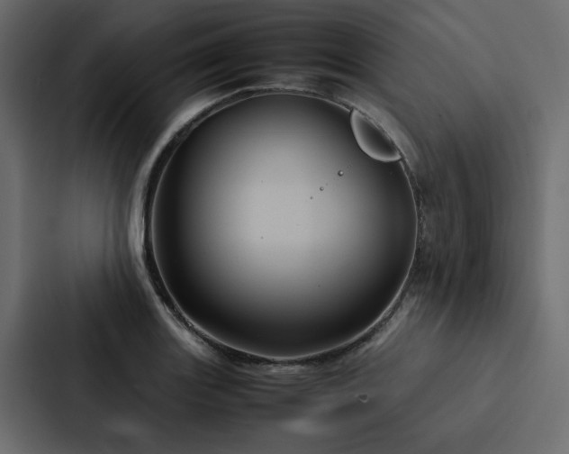 X0000088231131200705151447