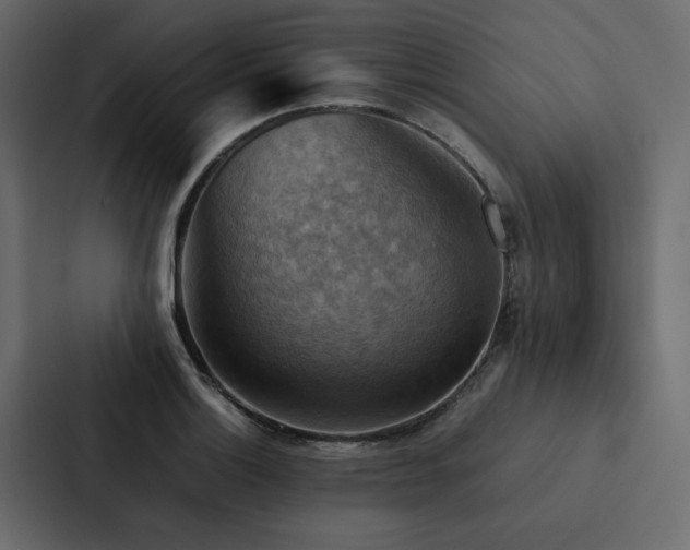 X0000088231132200705151447