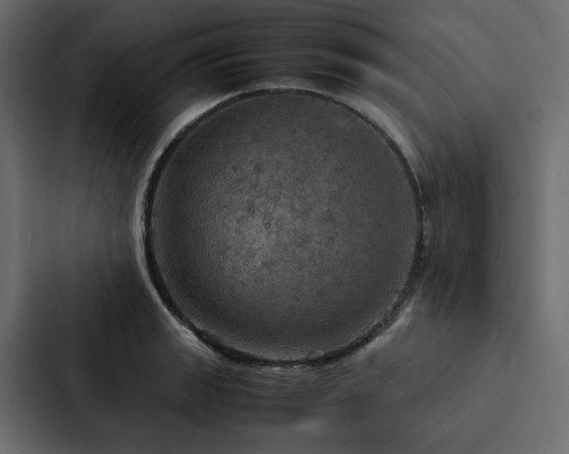 X0000088231133200705151447