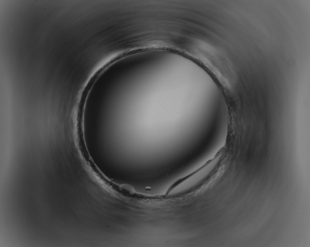 X0000088231134200705151447