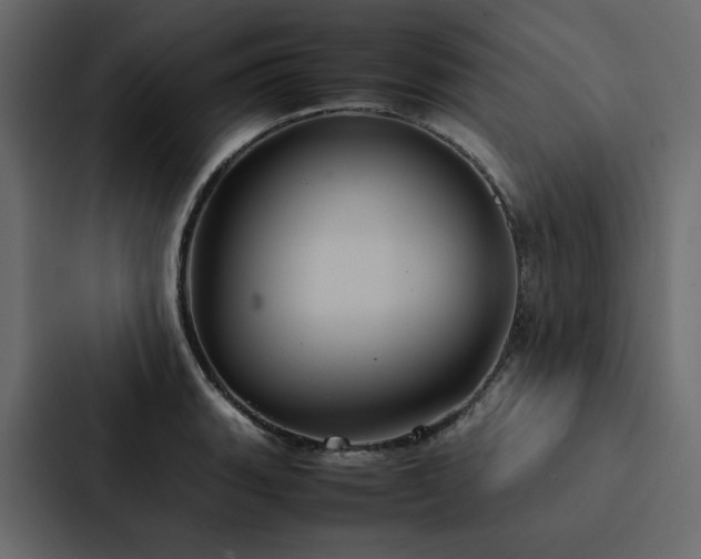 X0000088231135200705151447