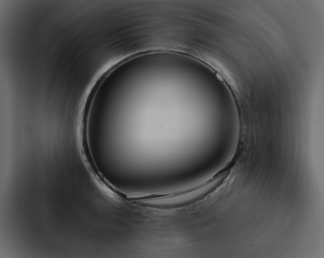 X0000088231136200705151447