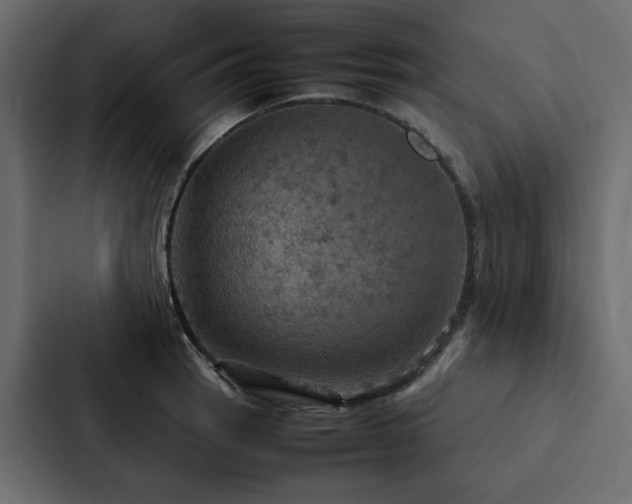 X0000088231137200705151447