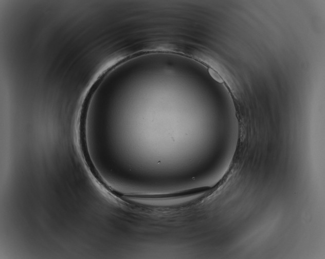 X0000088231139200705151447