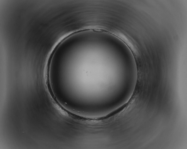 X0000088231140200705151447