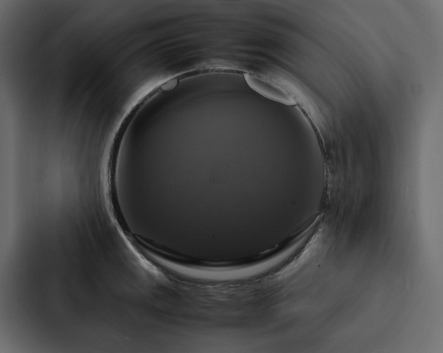 X0000088231141200705151447
