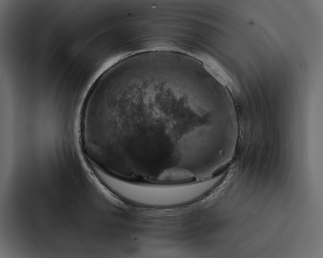 X0000088231142200705151447