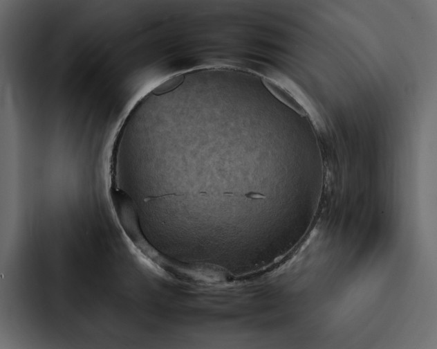 X0000088231143200705151447