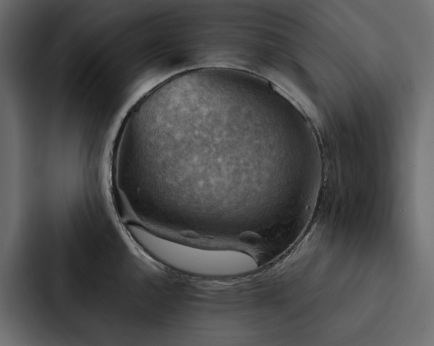 X0000088231144200705151447