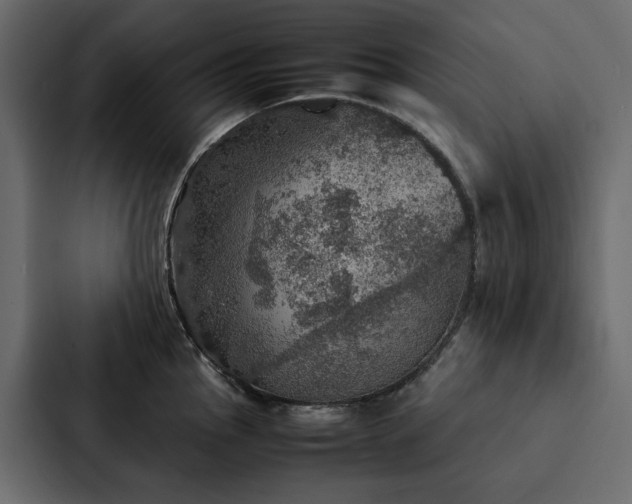 X0000088231145200705151448