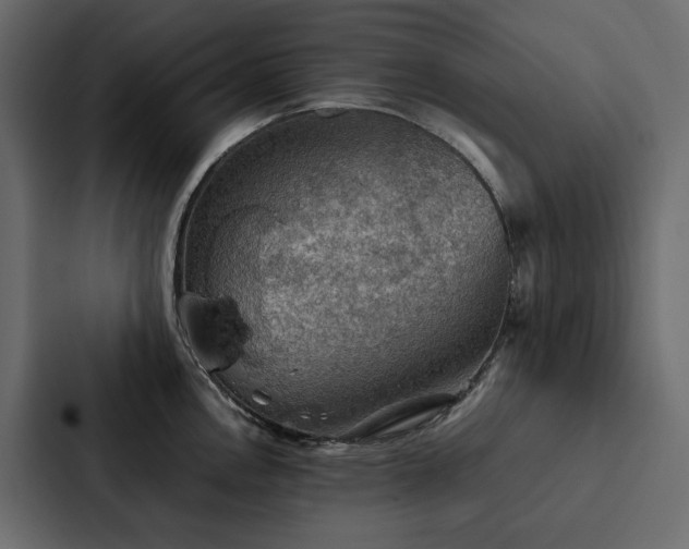 X0000088231146200705151448