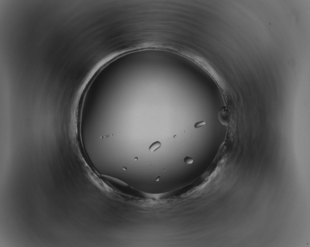 X0000088231148200705151448