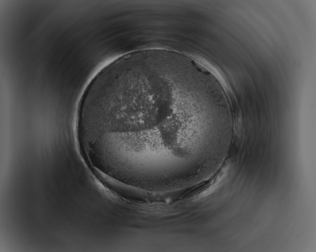 X0000088231149200705151448