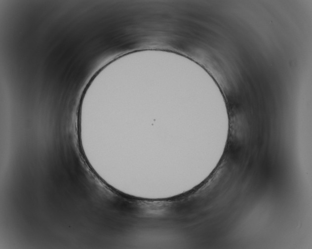 X0000088231150200705151448