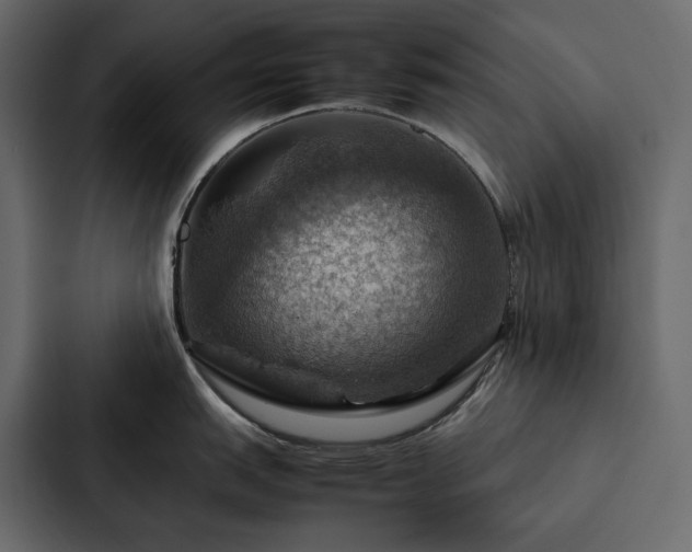 X0000088231151200705151448