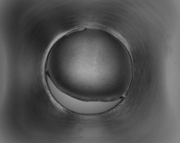 X0000088231152200705151448
