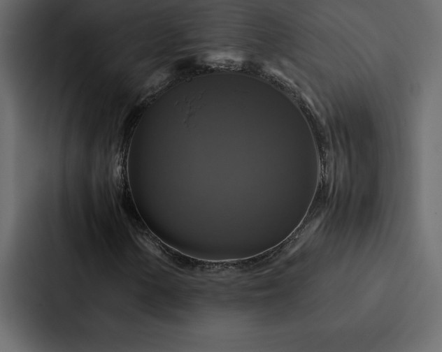 X0000088231154200705151447