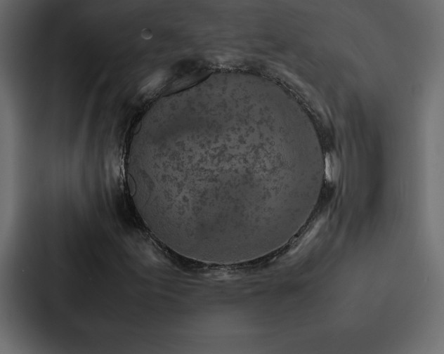 X0000088231155200705151447