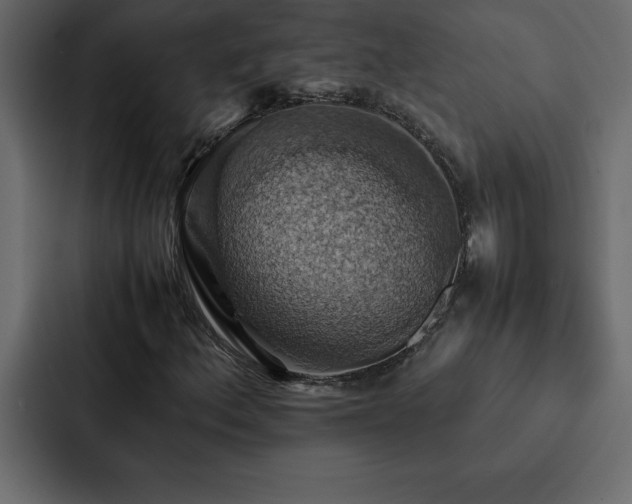 X0000088231156200705151447