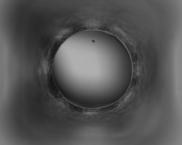 X0000088231157200705151447
