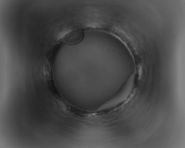 X0000088231158200705151447