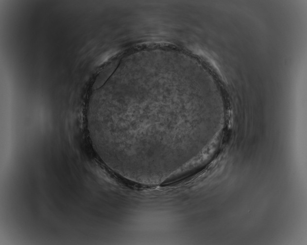 X0000088231159200705151447