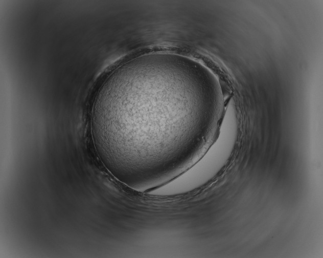 X0000088231160200705151447